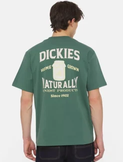 Flash Sale Elliston Short Sleeve T-Shirt T-Shirts