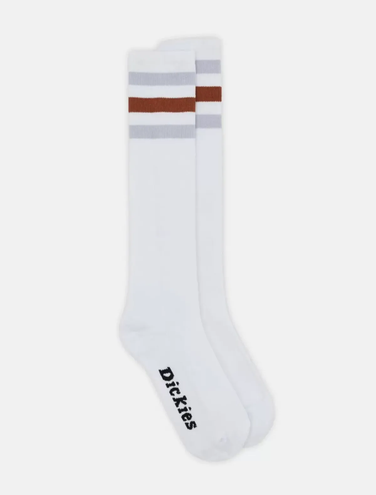 Hot Lutak Socks Women Socks|Socks