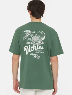 Hot Raven Short Sleeve T-Shirt T-Shirts