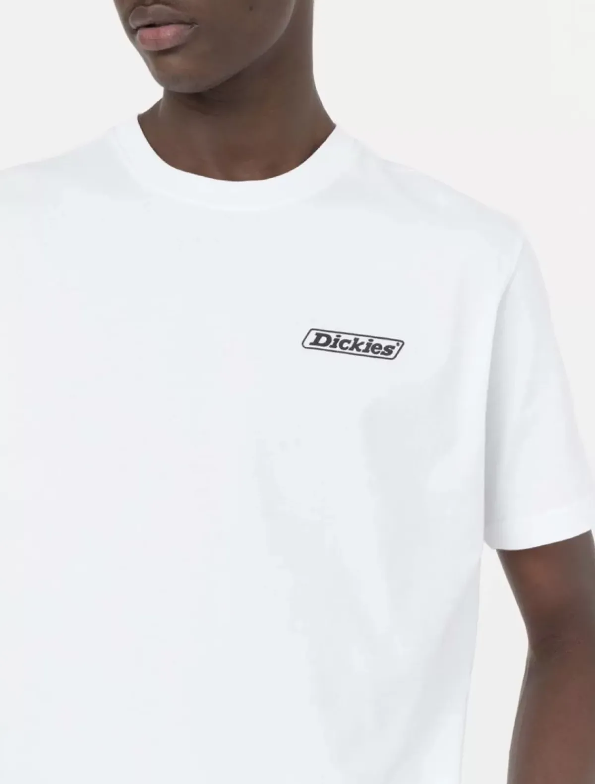 Online Roseburg Box Short Sleeve T-Shirt T-Shirts