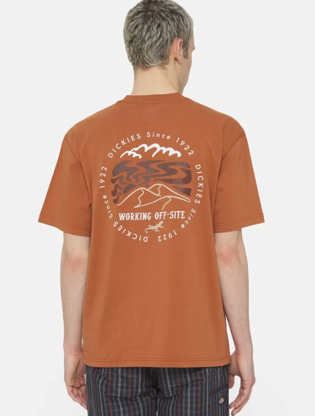 Cheap Stanardsville Short Sleeve T-Shirt T-Shirts